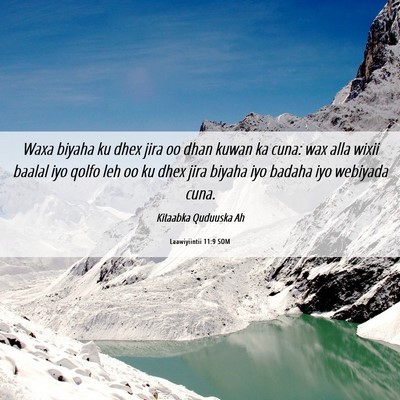 Picture 06 - Laawiyiintii 11:9 SOM - Waxa biyaha ku dhex jira oo dhan kuwan ka cuna: - Bible Verse Picture