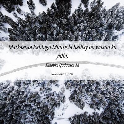 Picture 06 - Laawiyiintii 12:1 SOM - Markaasaa Rabbigu Muuse la hadlay oo wuxuu ku - Bible Verse Picture