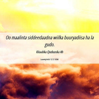 Picture 06 - Laawiyiintii 12:3 SOM - Oo maalinta siddeedaadna wiilka buuryadiisa ha la - Bible Verse Picture