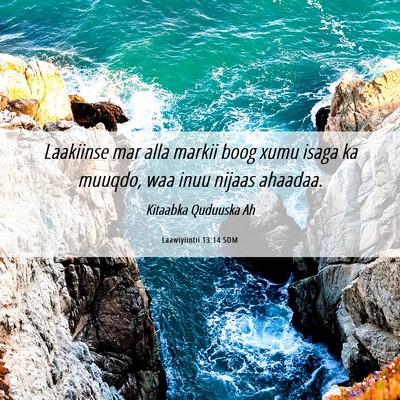 Picture 06 - Laawiyiintii 13:14 SOM - Laakiinse mar alla markii boog xumu isaga ka - Bible Verse Picture