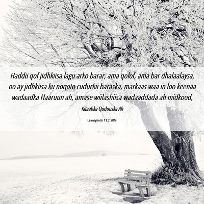 Picture 06 - Laawiyiintii 13:2 SOM - Haddii qof jidhkiisa lagu arko barar, ama qolof, - Bible Verse Picture