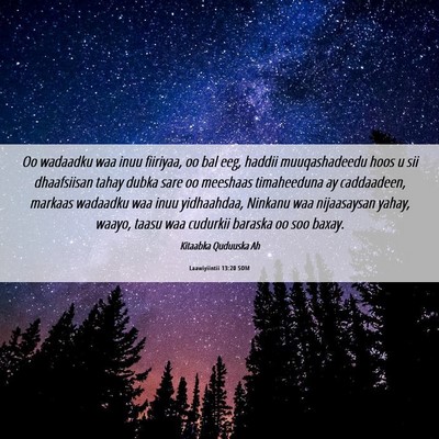 Picture 06 - Laawiyiintii 13:20 SOM - Oo wadaadku waa inuu fiiriyaa, oo bal eeg, haddii - Bible Verse Picture
