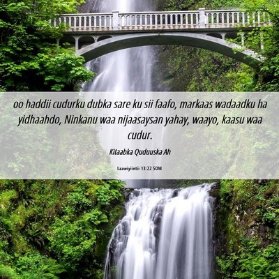 Picture 06 - Laawiyiintii 13:22 SOM - oo haddii cudurku dubka sare ku sii faafo, - Bible Verse Picture
