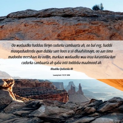 Picture 06 - Laawiyiintii 13:31 SOM - Oo wadaadku hadduu fiiriyo cudurka cambaarta ah, - Bible Verse Picture