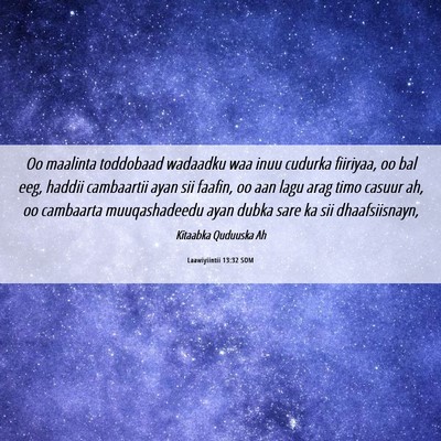 Picture 06 - Laawiyiintii 13:32 SOM - Oo maalinta toddobaad wadaadku waa inuu cudurka - Bible Verse Picture
