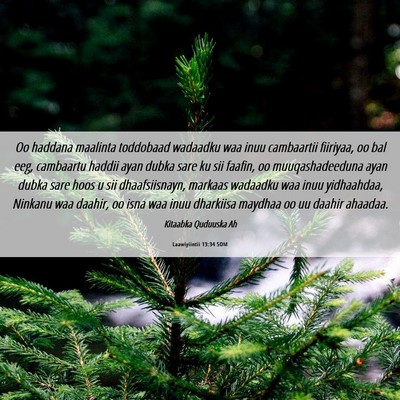 Picture 06 - Laawiyiintii 13:34 SOM - Oo haddana maalinta toddobaad wadaadku waa inuu - Bible Verse Picture