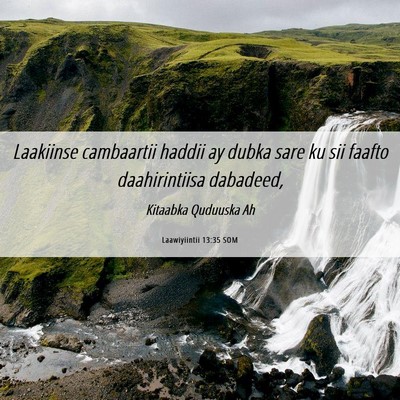 Picture 06 - Laawiyiintii 13:35 SOM - Laakiinse cambaartii haddii ay dubka sare ku sii - Bible Verse Picture