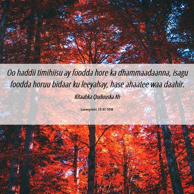 Picture 06 - Laawiyiintii 13:41 SOM - Oo haddii timihiisu ay foodda hore ka - Bible Verse Picture
