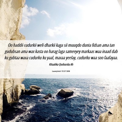 Picture 06 - Laawiyiintii 13:57 SOM - Oo haddii cudurkii weli dharkii kaga sii muuqdo - Bible Verse Picture