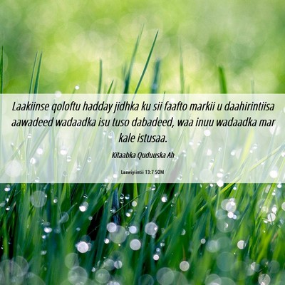 Picture 06 - Laawiyiintii 13:7 SOM - Laakiinse qoloftu hadday jidhka ku sii faafto - Bible Verse Picture