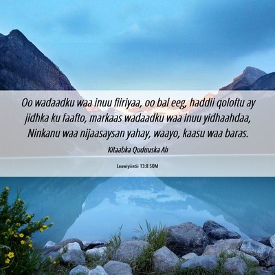 Picture 06 - Laawiyiintii 13:8 SOM - Oo wadaadku waa inuu fiiriyaa, oo bal eeg, haddii - Bible Verse Picture