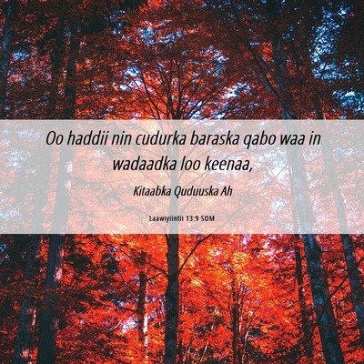 Picture 06 - Laawiyiintii 13:9 SOM - Oo haddii nin cudurka baraska qabo waa in - Bible Verse Picture