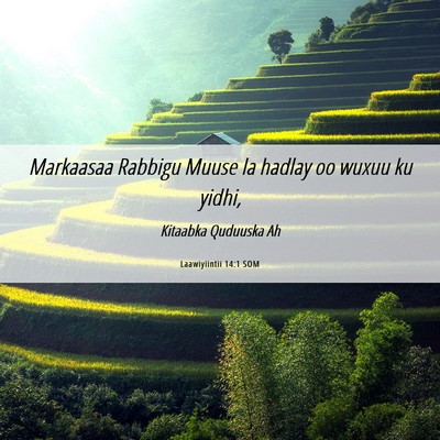 Picture 06 - Laawiyiintii 14:1 SOM - Markaasaa Rabbigu Muuse la hadlay oo wuxuu ku - Bible Verse Picture