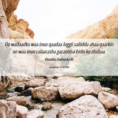 Picture 06 - Laawiyiintii 14:15 SOM - Oo wadaadku waa inuu qaadaa loggii saliidda ahaa - Bible Verse Picture