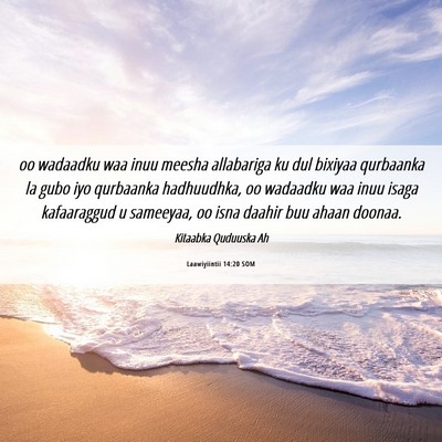 Picture 06 - Laawiyiintii 14:20 SOM - oo wadaadku waa inuu meesha allabariga ku dul - Bible Verse Picture
