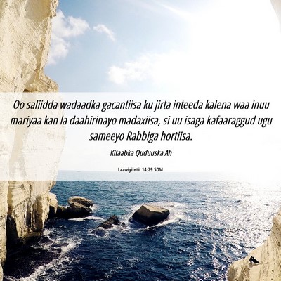 Picture 06 - Laawiyiintii 14:29 SOM - Oo saliidda wadaadka gacantiisa ku jirta inteeda - Bible Verse Picture