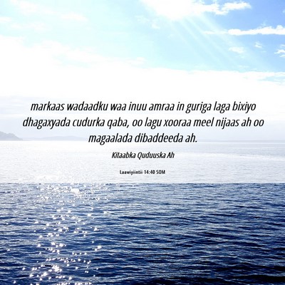 Picture 06 - Laawiyiintii 14:40 SOM - markaas wadaadku waa inuu amraa in guriga laga - Bible Verse Picture