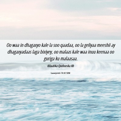 Picture 06 - Laawiyiintii 14:42 SOM - Oo waa in dhagaxyo kale la soo qaadaa, oo la - Bible Verse Picture