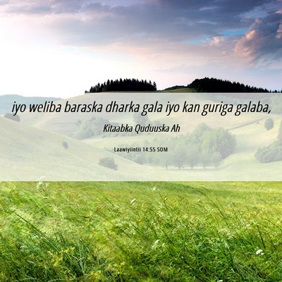 Picture 06 - Laawiyiintii 14:55 SOM - iyo weliba baraska dharka gala iyo kan guriga - Bible Verse Picture