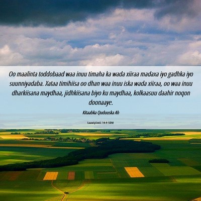 Picture 06 - Laawiyiintii 14:9 SOM - Oo maalinta toddobaad waa inuu timaha ka wada - Bible Verse Picture
