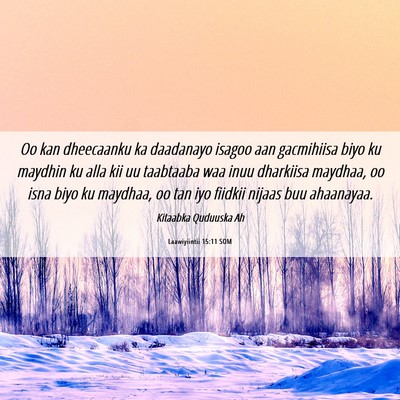 Picture 06 - Laawiyiintii 15:11 SOM - Oo kan dheecaanku ka daadanayo isagoo aan - Bible Verse Picture