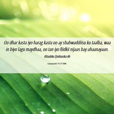 Picture 06 - Laawiyiintii 15:17 SOM - Oo dhar kasta iyo harag kasta oo ay shahwaddiisu - Bible Verse Picture