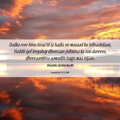 Picture 06 - Laawiyiintii 15:2 SOM - Dadka reer binu Israa'iil la hadla oo waxaad ku - Bible Verse Picture