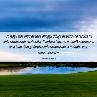 Picture 06 - Laawiyiintii 16:14 SOM - Oo isagu waa inuu qaadaa dhiiggii dibiga - Bible Verse Picture