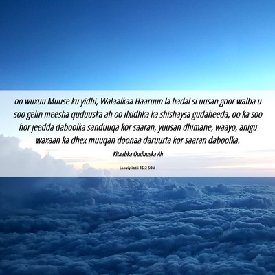 Picture 06 - Laawiyiintii 16:2 SOM - oo wuxuu Muuse ku yidhi, Walaalkaa Haaruun la - Bible Verse Picture