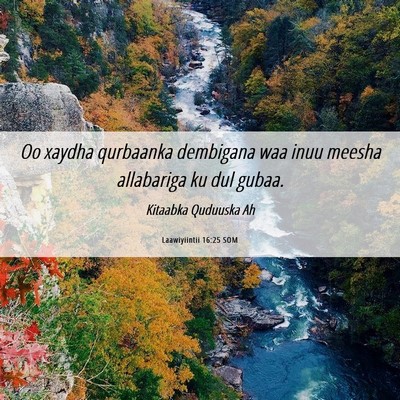 Picture 06 - Laawiyiintii 16:25 SOM - Oo xaydha qurbaanka dembigana waa inuu meesha - Bible Verse Picture