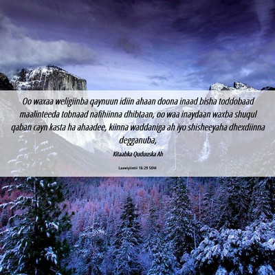 Picture 06 - Laawiyiintii 16:29 SOM - Oo waxaa weligiinba qaynuun idiin ahaan doona - Bible Verse Picture