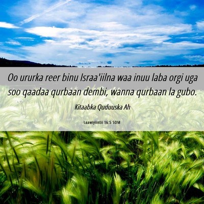 Picture 06 - Laawiyiintii 16:5 SOM - Oo ururka reer binu Israa'iilna waa inuu laba - Bible Verse Picture