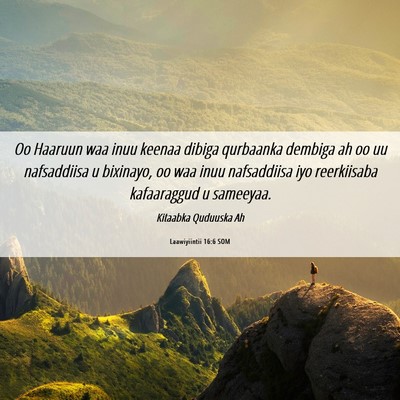 Picture 06 - Laawiyiintii 16:6 SOM - Oo Haaruun waa inuu keenaa dibiga qurbaanka - Bible Verse Picture