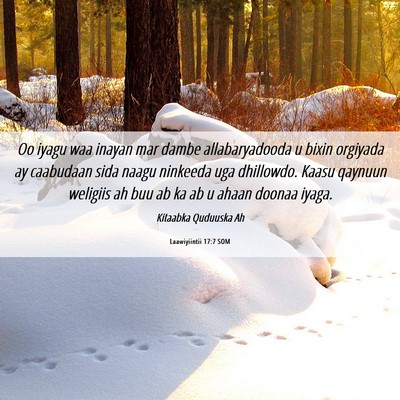 Picture 06 - Laawiyiintii 17:7 SOM - Oo iyagu waa inayan mar dambe allabaryadooda u - Bible Verse Picture