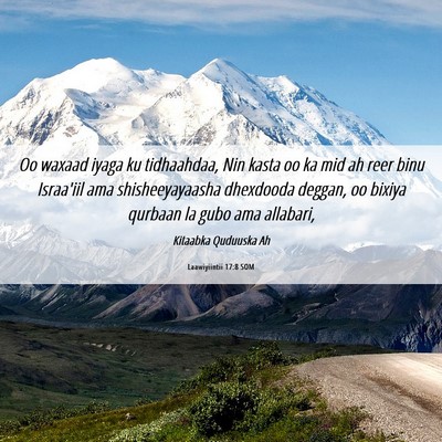 Picture 06 - Laawiyiintii 17:8 SOM - Oo waxaad iyaga ku tidhaahdaa, Nin kasta oo ka - Bible Verse Picture