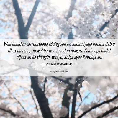 Picture 06 - Laawiyiintii 18:21 SOM - Waa inaadan carruurtaada Moleg siin oo aadan - Bible Verse Picture