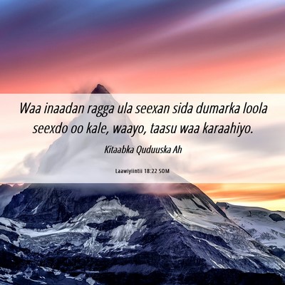 Picture 06 - Laawiyiintii 18:22 SOM - Waa inaadan ragga ula seexan sida dumarka loola - Bible Verse Picture