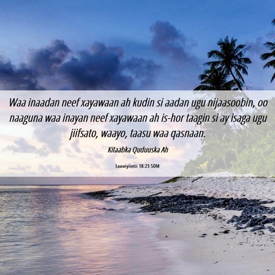 Picture 06 - Laawiyiintii 18:23 SOM - Waa inaadan neef xayawaan ah kudin si aadan ugu - Bible Verse Picture