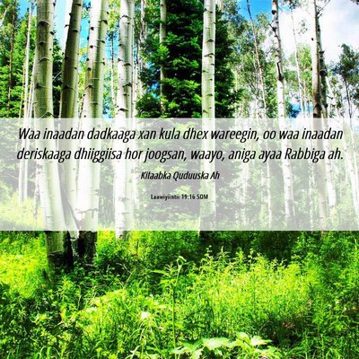 Picture 06 - Laawiyiintii 19:16 SOM - Waa inaadan dadkaaga xan kula dhex wareegin, oo - Bible Verse Picture