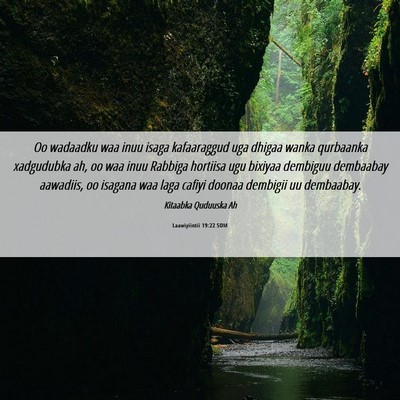 Picture 06 - Laawiyiintii 19:22 SOM - Oo wadaadku waa inuu isaga kafaaraggud uga dhigaa - Bible Verse Picture
