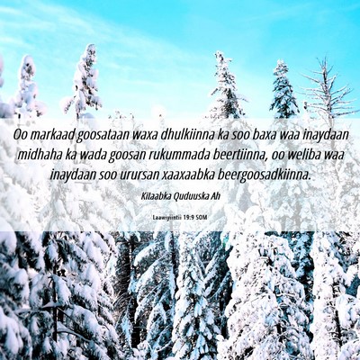 Picture 06 - Laawiyiintii 19:9 SOM - Oo markaad goosataan waxa dhulkiinna ka soo baxa - Bible Verse Picture