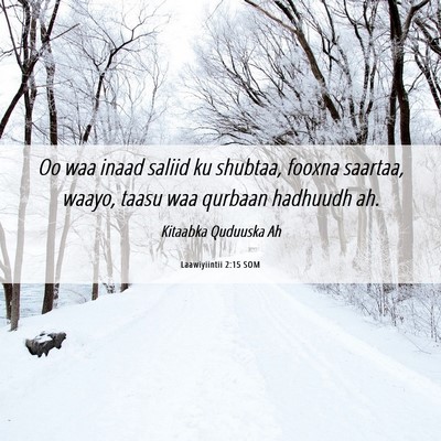 Picture 06 - Laawiyiintii 2:15 SOM - Oo waa inaad saliid ku shubtaa, fooxna saartaa, - Bible Verse Picture