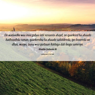 Picture 06 - Laawiyiintii 2:16 SOM - Oo wadaadku waa inuu gubaa intii xusuusta ahayd, - Bible Verse Picture