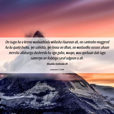 Picture 06 - Laawiyiintii 2:2 SOM - Oo isagu ha u keeno wadaaddada wiilasha Haaruun - Bible Verse Picture