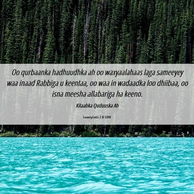Picture 06 - Laawiyiintii 2:8 SOM - Oo qurbaanka hadhuudhka ah oo waxyaalahaas laga - Bible Verse Picture