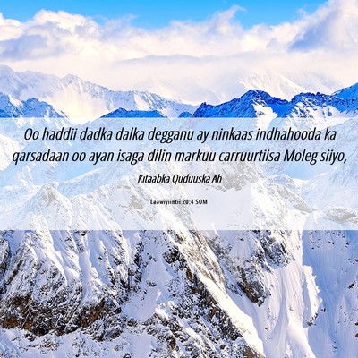 Picture 06 - Laawiyiintii 20:4 SOM - Oo haddii dadka dalka degganu ay ninkaas - Bible Verse Picture
