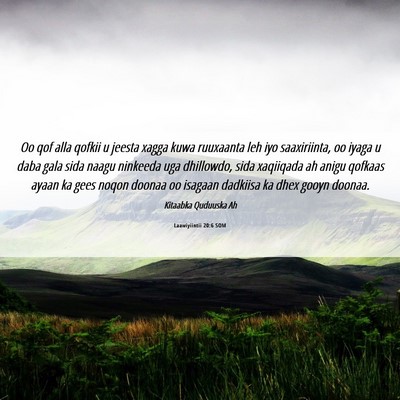 Picture 06 - Laawiyiintii 20:6 SOM - Oo qof alla qofkii u jeesta xagga kuwa ruuxaanta - Bible Verse Picture