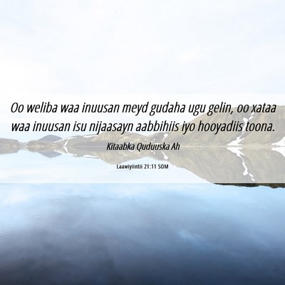 Picture 06 - Laawiyiintii 21:11 SOM - Oo weliba waa inuusan meyd gudaha ugu gelin, oo - Bible Verse Picture