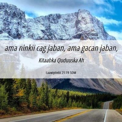Picture 06 - Laawiyiintii 21:19 SOM - ama ninkii cag jaban, ama gacan - Bible Verse Picture