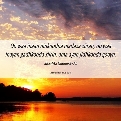 Picture 06 - Laawiyiintii 21:5 SOM - Oo waa inaan ninkoodna madaxa xiiran, oo waa - Bible Verse Picture